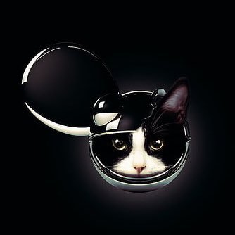 xherealonex's profile picture. 