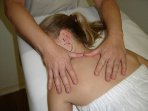 naturesalon's profile picture. 