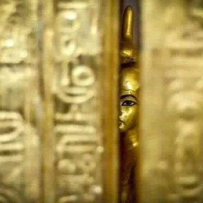 Mrtotality01's profile picture. Projects management engineer & freelance writer