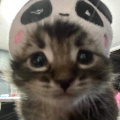 ilyxrrrr's profile picture. 06/21/24