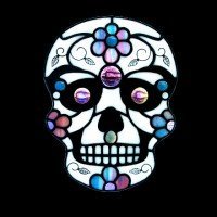 StellarSKULLさんのプロフィール画像