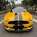 Mustang Power (@stangsandcats) Twitter profile photo Mustang Power (@stangsandcats) Twitter profile photo