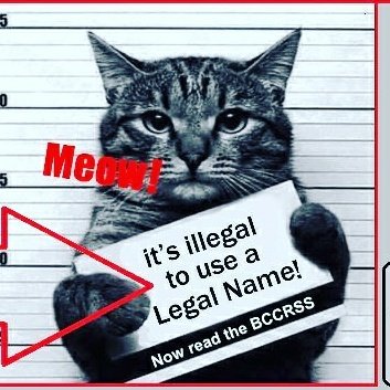 ids_illega47707's profile picture. It's illegal to use a legal name. Read and share the #BCCRSS #EscapeClause #CRSS #idsillegal #TruthBillboards #KateOfGaia #TruthMobile #LegalNameFraudRadio