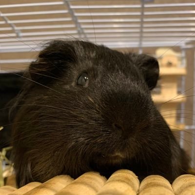 はるさんのプロフィール画像