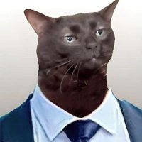 David (@wastedforall) 's Twitter Profile