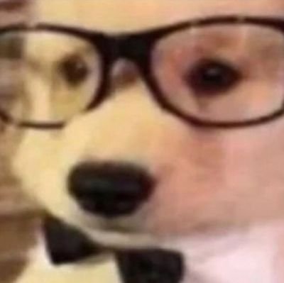 kumiumi_'s profile picture. self-taught artist