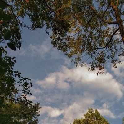 lolvibes567's profile picture. 