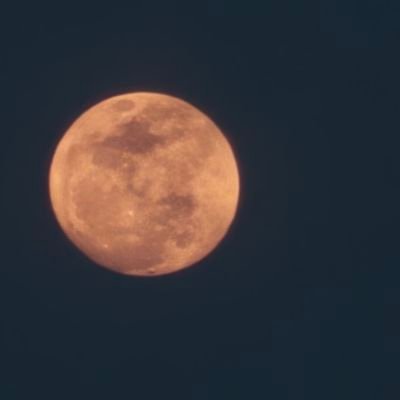 MarioMrque52843's profile picture. 