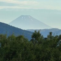 はなみずき (@mr7shepcucbpnjb) 's Twitter Profile