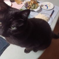 その男ゾルバ (@zorba0718) 's Twitter Profile