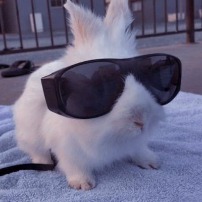 artrxari's profile picture. 𝕊𝕠𝕞𝕖𝕥𝕚𝕞𝕖𝕤 𝕘𝕠𝕠𝕕 𝕥𝕙𝕚𝕟𝕘𝕤 𝕗𝕒𝕝𝕝 𝕒𝕡𝕒𝕣𝕥 - 𝕚𝕝𝕝𝕖𝕟𝕚𝕦𝕞