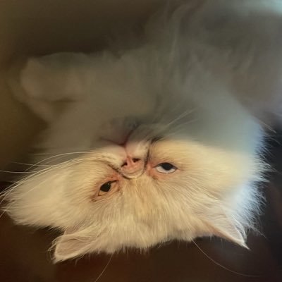 ngeluh sampe kaya