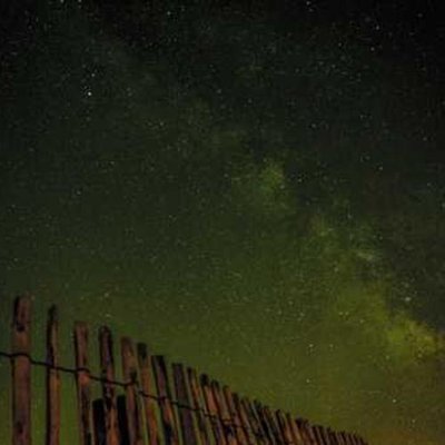 LatoyaTisc32837's profile picture. 