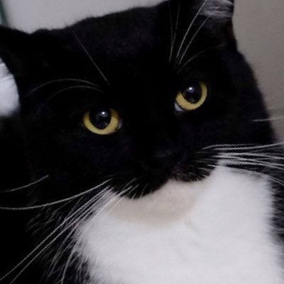 noさんのプロフィール画像
