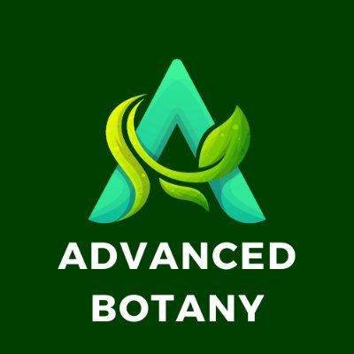 Harbot2024's profile picture. https://t.co/e40NkFP2kH