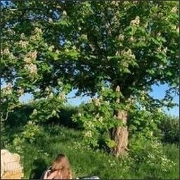 Soslorsh494's profile picture. 