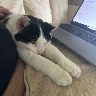Love me grub. Don't suffer fools gladly. Me pals call me Steve, Chairman Meow, Cat Stevens, Stevie C. Haters call me Stevie no balls. I have no balls.🐯