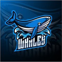 Crypto Bullish Whales 🐳 (@78fp_) 's Twitter Profile Photo Crypto Bullish Whales 🐳 (@78fp_) 's Twitter Profile Photo