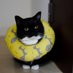 ' (@cl0udintrousers) Twitter profile photo ' (@cl0udintrousers) Twitter profile photo