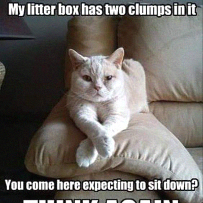 pennyone's profile picture. 