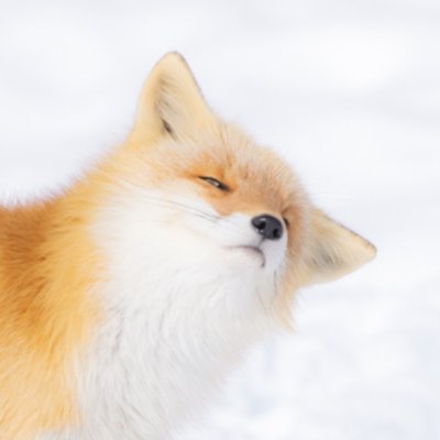 Akariさんのプロフィール画像