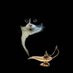 F e n d s o n (@fendson0069) Twitter profile photo F e n d s o n (@fendson0069) Twitter profile photo