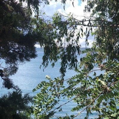 “Peki ya düşersem!” dedi zihin. “Peki ya uçarsan?” fısıldadı gönül🤩