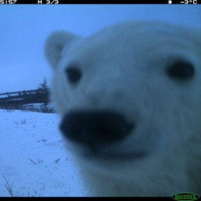 WarnerEvan1's profile picture. I really will become low IQ in front of you.