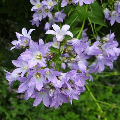 Hutch37309Elly's profile picture. 