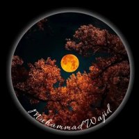 M. Wajid (@muhammad1wajid) 's Twitter Profile