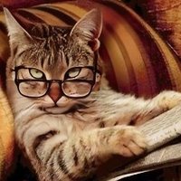 Jesse Morgan (@jesse_morgan_) 's Twitter Profile Photo
