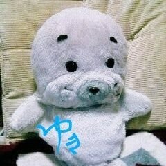 日頃の事柄を呟きます
毎日少しずつ楽しめる事頑張ります
1つ1つ感謝出来る感じで豊かに!
色々と雑多ですが宜しくお願い致します
無言フォロー失礼します
DM⭕️LINE❌
「別垢(写真垢)」→(@MIZU_no_5109)
Instagram→(@YUKITOMO_GOMACHI)
#ホメ療法