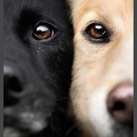 Yadigar (@yadigarsari8) Twitter profile photo