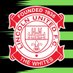 Lincoln United Juniors (@lincolnutdyouth) Twitter profile photo