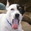 Tracy Bach - @HarteiLesl2960 - Twitter