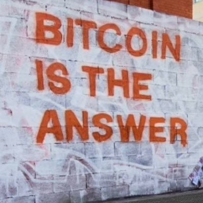 Txoitxikiripez's profile picture. 