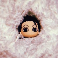 平針#9 (@h_hxi_) 's Twitter Profile