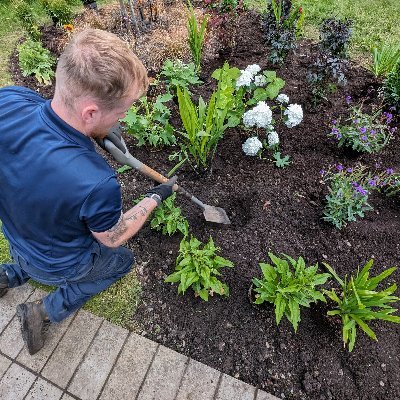 wildrobinsGH's profile picture. Qualified Gardener 🌱  ✌️ New to X