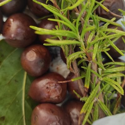 infantiamea's profile picture. Prvo čistim svoje dvorište.