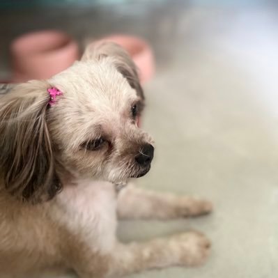 keiarguelles's profile picture. 🍃🌊☀️| 🥑⚖️