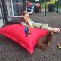 Cian's Kennels (@cianskennels) 's Twitter Profile Photo Cian's Kennels (@cianskennels) 's Twitter Profile Photo