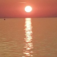 adamsimy3 (@adamsimy3) 's Twitter Profile