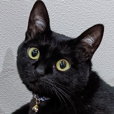 なおきち🐈⬛ (@Naoki_x_x) / X なおきち🐈⬛ (@Naoki_x_x) / X