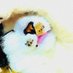 sasa (@sasa_aneralei) Twitter profile photo sasa (@sasa_aneralei) Twitter profile photo