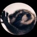 El Pensador (@fricksmcman) Twitter profile photo El Pensador (@fricksmcman) Twitter profile photo