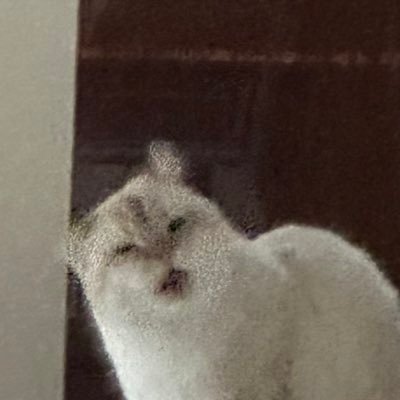 tofuさんのプロフィール画像