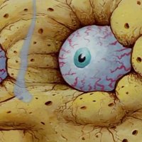 Gecko (@dergecko923) 's Twitter Profile Photo