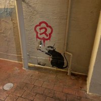 か@26卒 (@hitokawamukeyou) Twitter profile photo