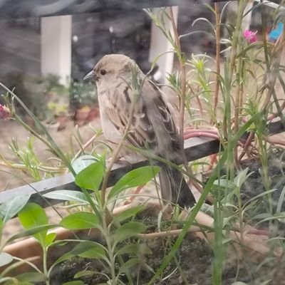 UniverseChild8's profile picture. 