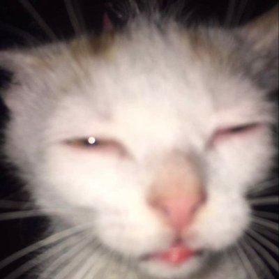 🔞Domy🔞さんのプロフィール画像